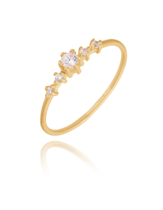 Ariana ring in 10k yellow gold with zircons