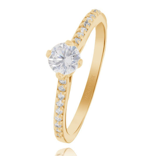 Arnel ring in 10k yellow gold with zircons 