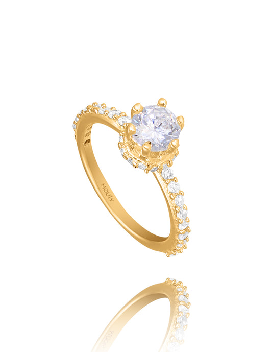 Helena ring in 10k yellow gold with zircons 